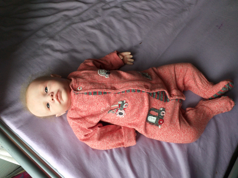 dolls for sale on gumtree